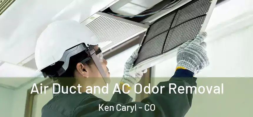 Air Duct and AC Odor Removal Ken Caryl - CO