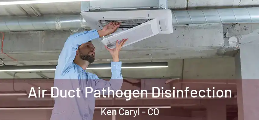Air Duct Pathogen Disinfection Ken Caryl - CO
