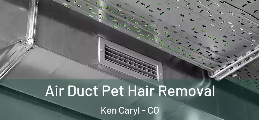  Air Duct Pet Hair Removal Ken Caryl - CO