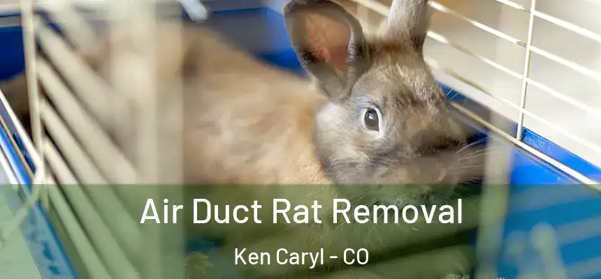  Air Duct Rat Removal Ken Caryl - CO