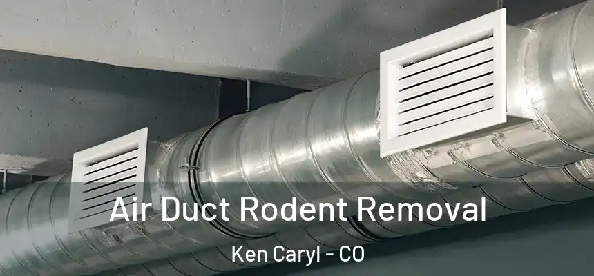 Air Duct Rodent Removal Ken Caryl - CO