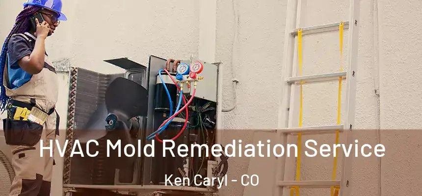  HVAC Mold Remediation Service Ken Caryl - CO