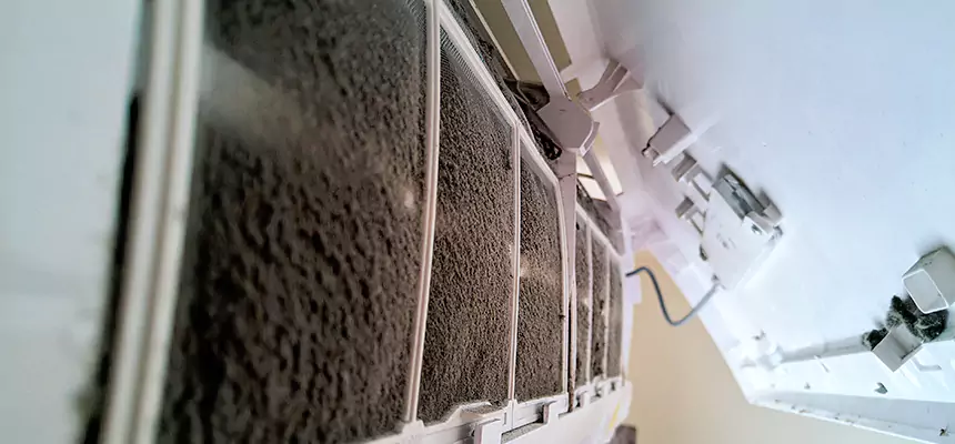 Preventive Air Duct Bacteria Removal in Ken Caryl