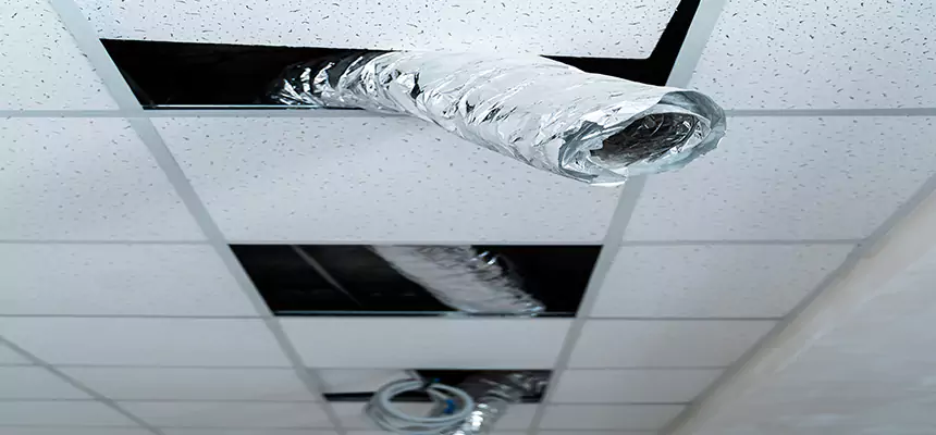 Affordable HVAC Sanitizing After Pest Removal in Ken Caryl