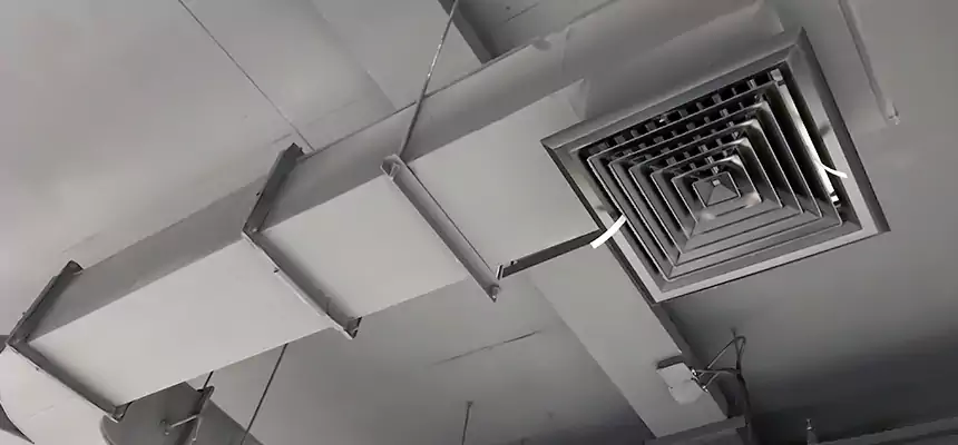 Restorative Allergy Relief Vent Cleaning – Coil, Blower & Housing Detail in Ken Caryl