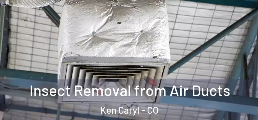 Insect Removal from Air Ducts Ken Caryl - CO