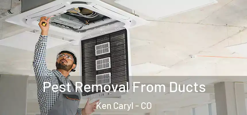  Pest Removal From Ducts Ken Caryl - CO