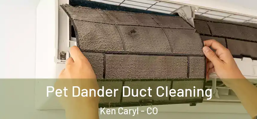  Pet Dander Duct Cleaning Ken Caryl - CO