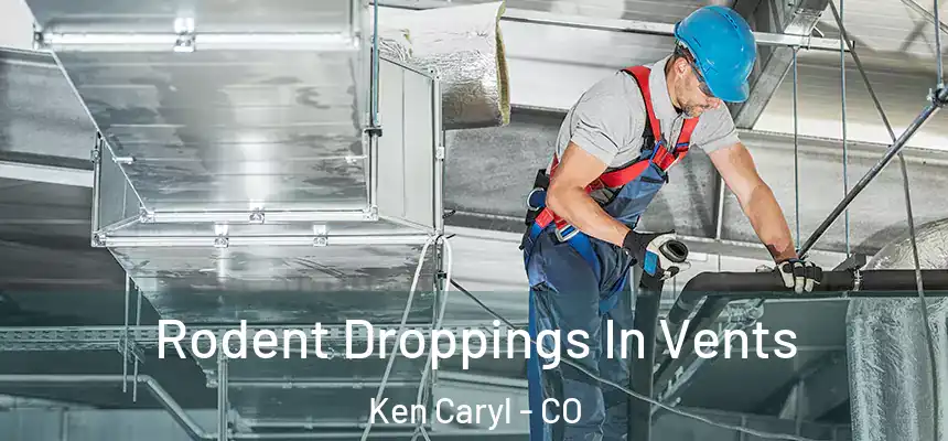  Rodent Droppings In Vents Ken Caryl - CO