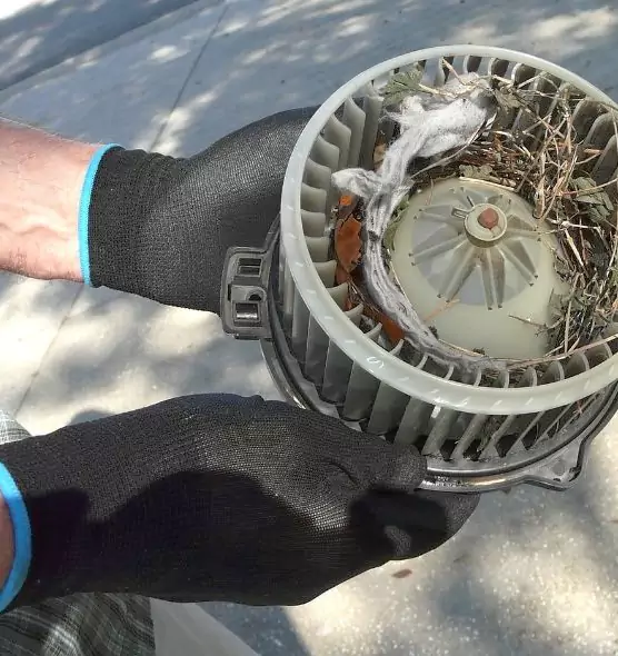 About Air Duct Mice Removal in Ken Caryl, CO