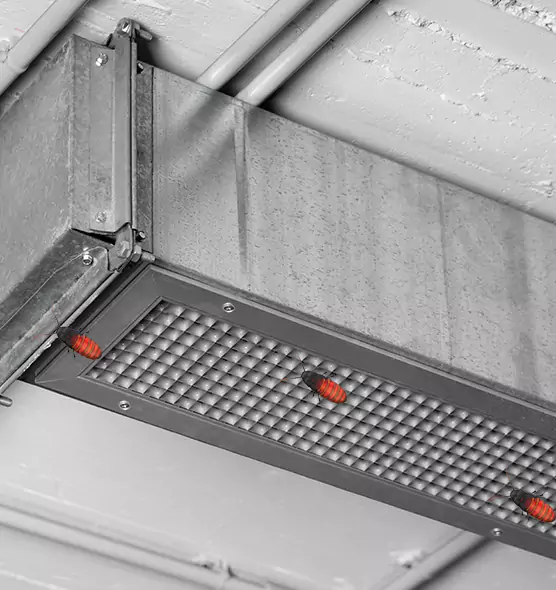 Affordable Insect Removal from Air Ducts in Ken Caryl, CO