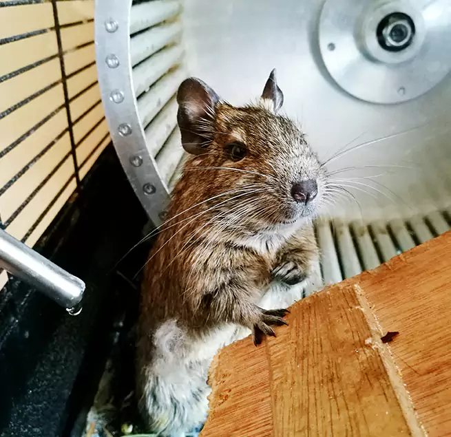 Why Homeowners & Businesses Trust Us Ken Caryl, CO?